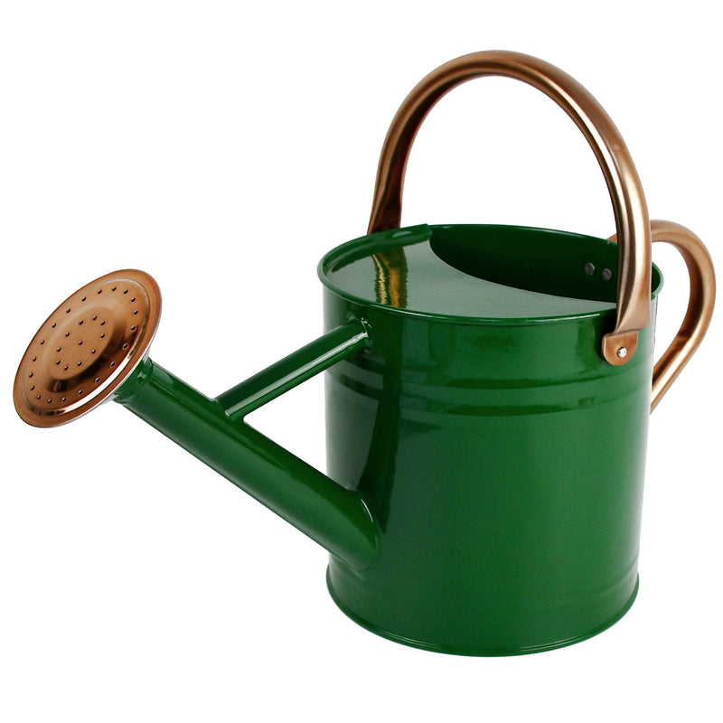 Watering Can - Metal Watering Can With Removable Spout, Perfect Plant Watering Can