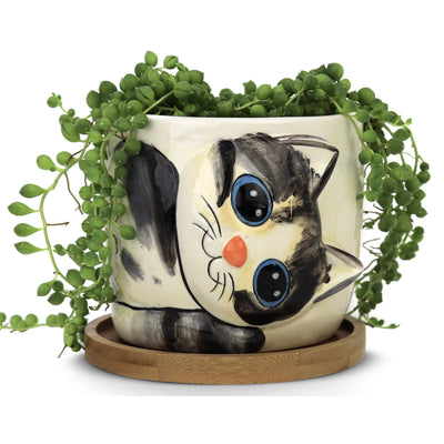 Window Garden Cat Planter - Large Kitty Pot for Indoor House Plants, Succulents, Flowers