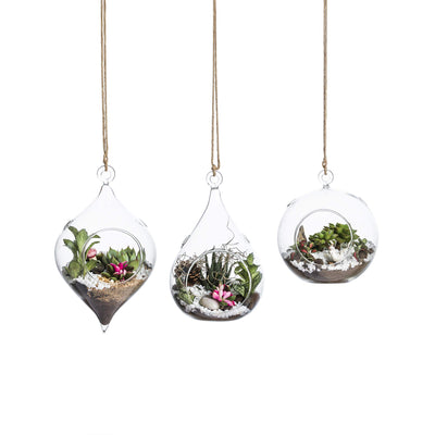 Glass Hanging Terrarium Set Of 3 In Large Size- Succulent/Moss/Air Plant Terrarium - 3