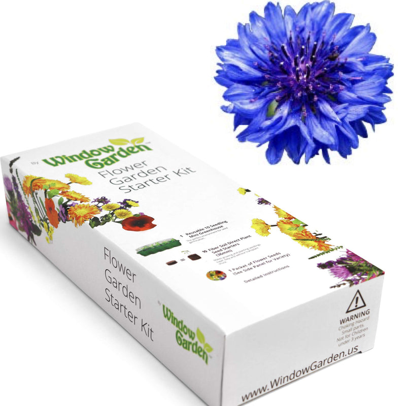 Window Garden - Lemon Queen Sunflower Flower Starter Kit - Grow Beauty. Germinate Seeds