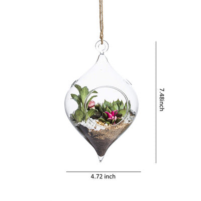 Glass Hanging Terrarium Set Of 3 In Large Size- Succulent/Moss/Air Plant Terrarium - 3