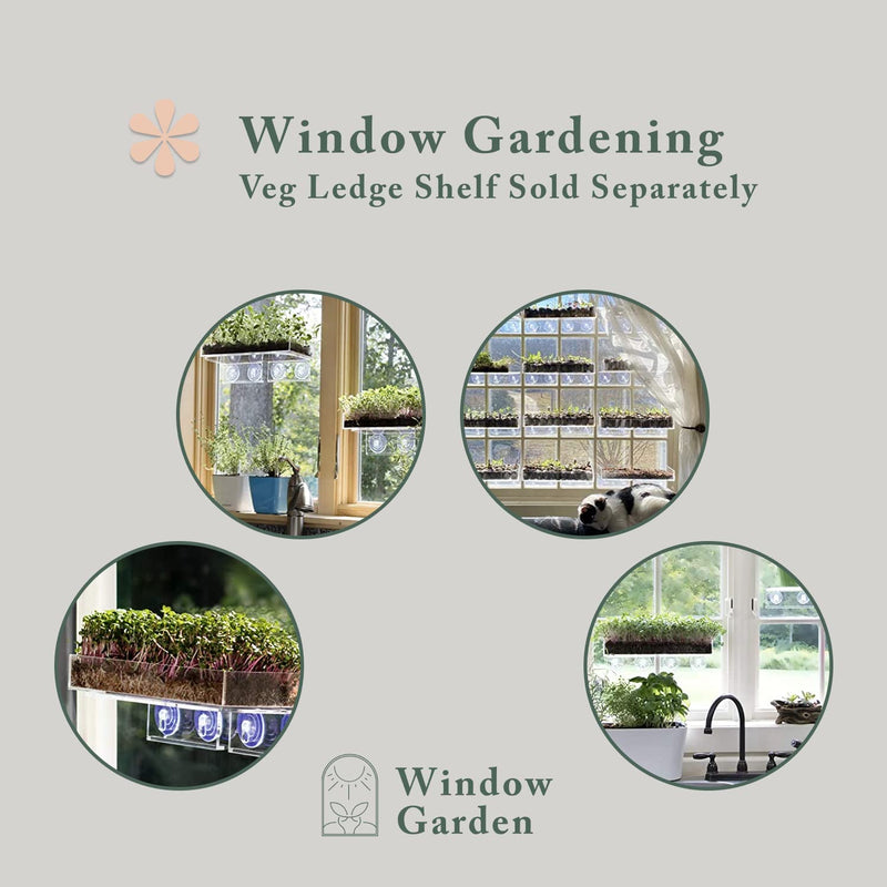 Window Garden Microgreens Growing Kit - Includes Microgreen Seeds, Organic Pea Shoot (3