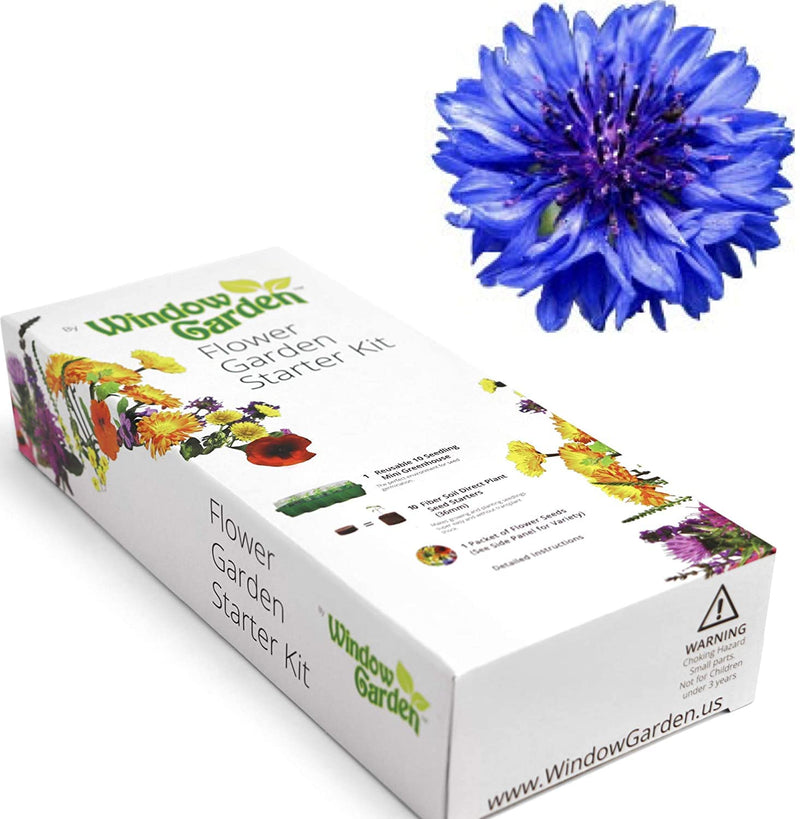 Window Garden - Lemon Queen Sunflower Flower Starter Kit - Grow Beauty. Germinate Seeds