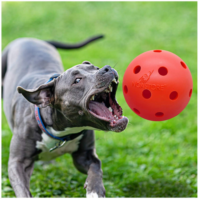 Unbreakable Dog Ball Toy 6 Inch - Durable & Lightweight Hard Ball for Medium-Large Dogs