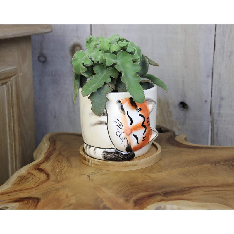 Window Garden Cat Planter - Large Kitty Pot for Indoor House Plants, Succulents, Flowers