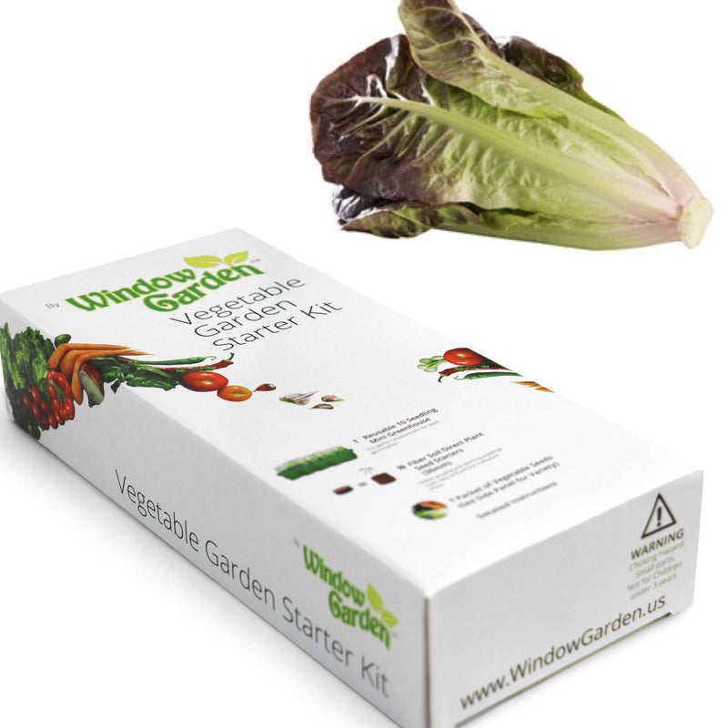 Window Garden - Lettuce Vegetable Starter Kit - Grow Your Own Food. Germinate Seeds