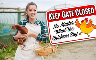 Chicken Warning Sign Danger Keep Gate Closed: No Matter What The Chickens Say -