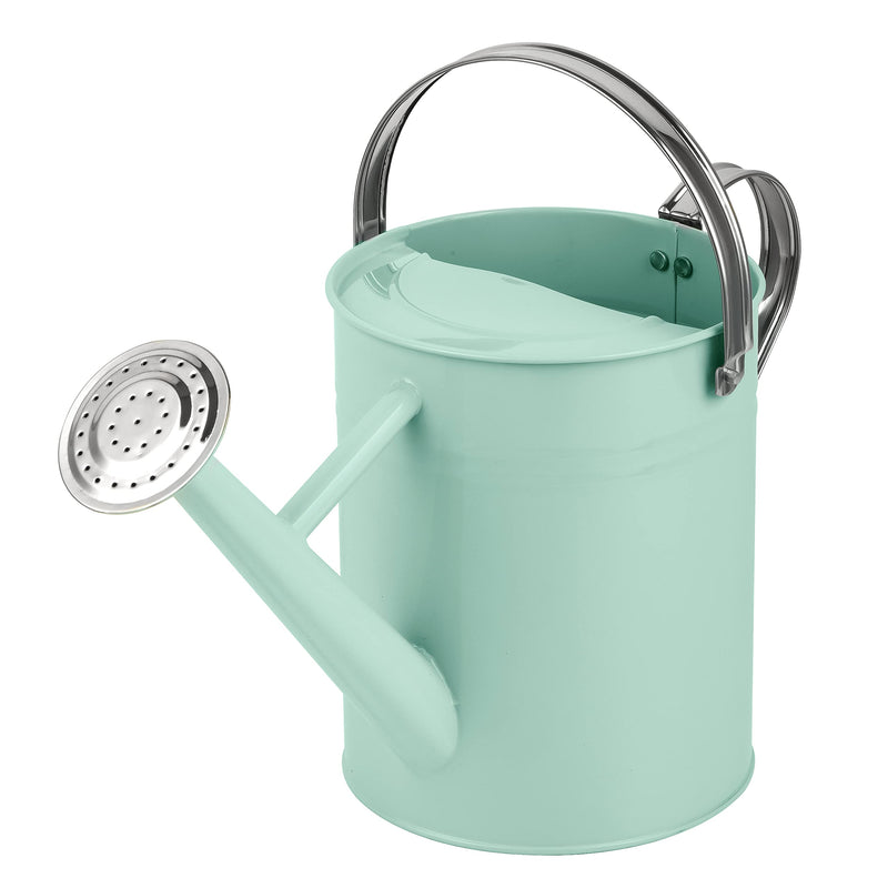 Watering Can - Metal Watering Can With Removable Spout, Perfect Plant Watering Can