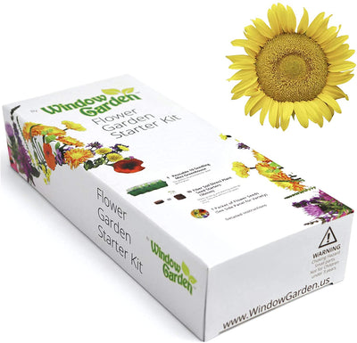 Window Garden - Lemon Queen Sunflower Flower Starter Kit - Grow Beauty. Germinate Seeds