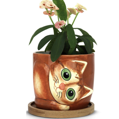 Window Garden Animal Planters - Large Kitty Pot (Sugar) Purrfect for Indoor Live House