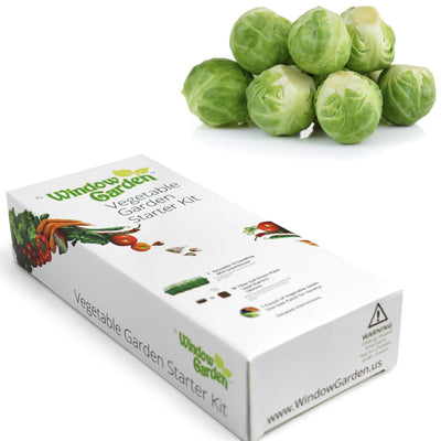 Window Garden - Brussel Sprouts Vegetable Starter Kit - Grow Your Own Food. Germinate Seed