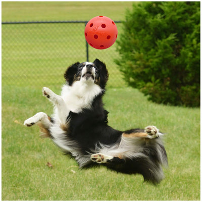 Unbreakable Dog Ball Toy 6 Inch - Durable & Lightweight Hard Ball for Medium-Large Dogs