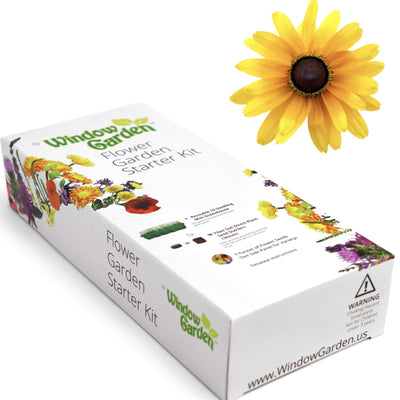 Window Garden - Lemon Queen Sunflower Flower Starter Kit - Grow Beauty. Germinate Seeds