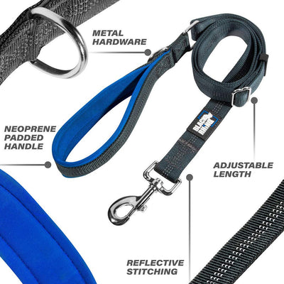 Training Dog Leash With Padded Handle Adjustable