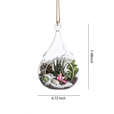 Glass Hanging Terrarium Set Of 3 In Large Size- Succulent/Moss/Air Plant Terrarium - 3