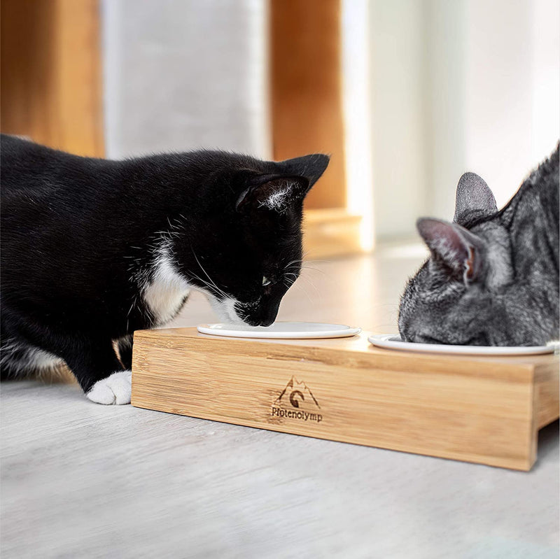 2x Cat Food Bowl For Feeding Station Made Of Bamboo - Ceramic Bowl - Cat Bowl