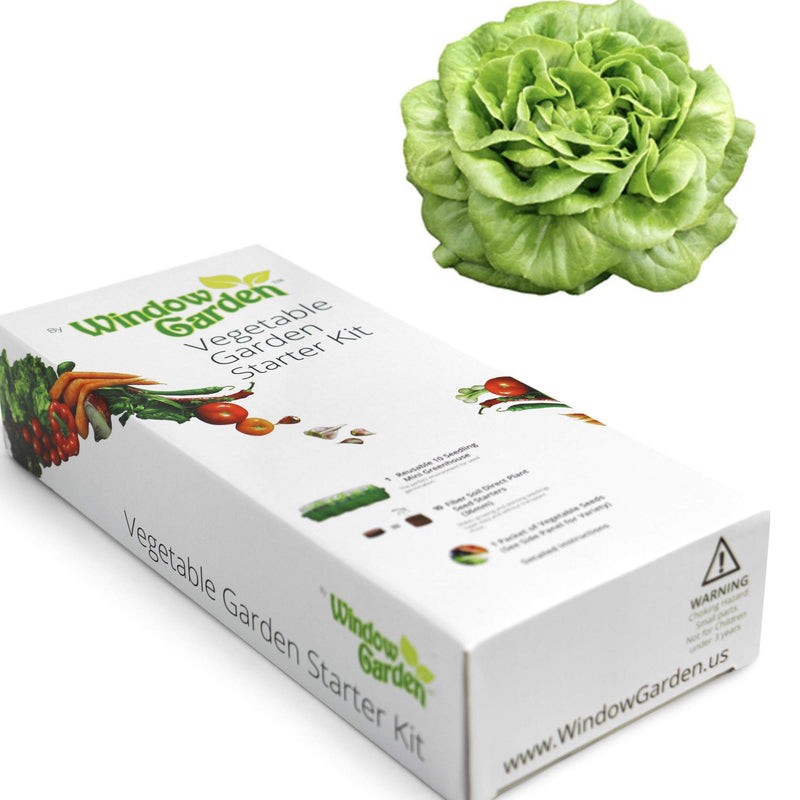 Window Garden - Buttercrunch Lettuce Vegetable Starter Kit - Grow Your Own Food. Germinate