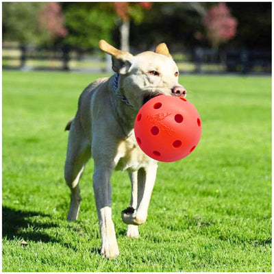 Unbreakable Dog Ball Toy 6 Inch - Durable & Lightweight Hard Ball for Medium-Large Dogs