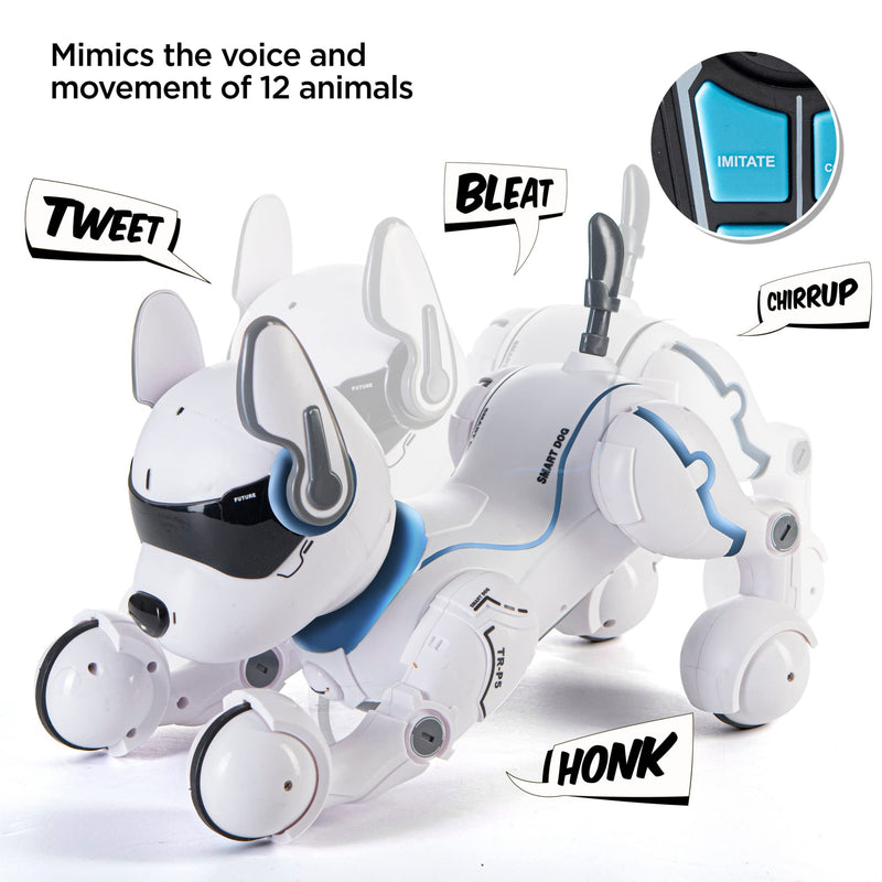 Remote Control Robot Dog Toy, Robots for Kids, Rc Dog Robot Toys for Kids 3,4,5,6,7,8,9,10