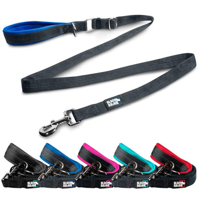 Training Dog Leash With Padded Handle Adjustable