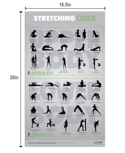 Workout Posters for Home Gym - Alpine Fitness Exercise Poster Bundle Includes 7 Gym