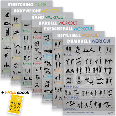 Workout Posters for Home Gym - Alpine Fitness Exercise Poster Bundle Includes 7 Gym