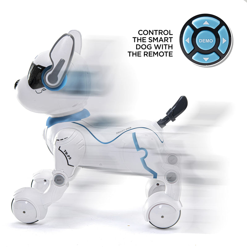 Remote Control Robot Dog Toy, Robots for Kids, Rc Dog Robot Toys for Kids 3,4,5,6,7,8,9,10