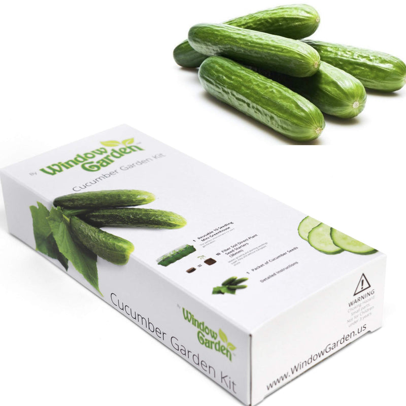 Window Garden - Cucumber Vegetable Starter Kit - Grow Your Own Food. Germinate Seeds