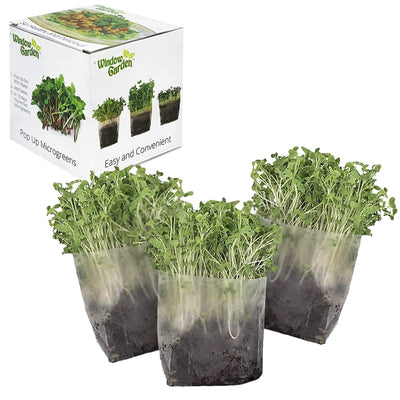 Window Garden Microgreens Grow Kit - Assorted Microgreen Seeds, Indoor Starter Growing Kit