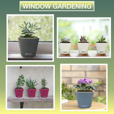 Window Garden Self Watering Planters - Pack of 3 Mini Pots for Small Indoor Plants