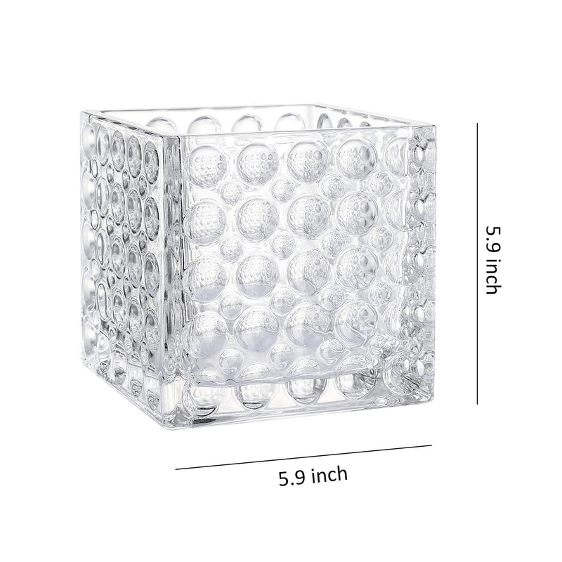 Square Glass Cube Vase (2, 6