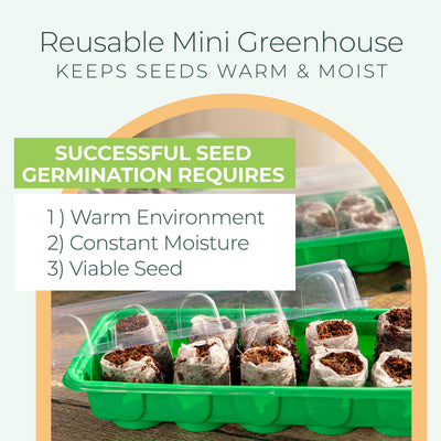 Mini Greenhouse Seed Starter Kit Reusable Plastic Indoor Seed Starter Tray With Dome