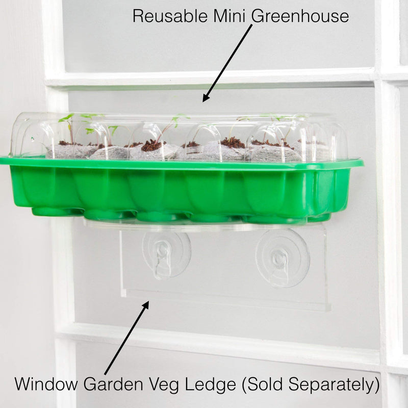 Window Garden - Pumpkin Vegetable Starter Kit - Grow Your Own Food. Germinate Seeds