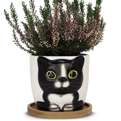 Window Garden Cat Planter - Large Kitty Pot for Indoor House Plants, Succulents, Flowers