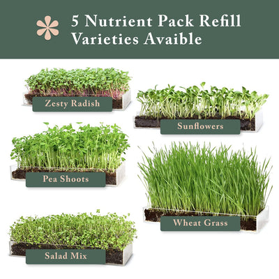 Window Garden Microgreen Assortment 5 Pack Refill  Use with Grow n Serve Kit, Multi-Use