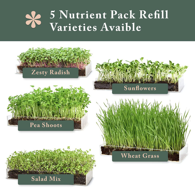 Window Garden Microgreen Zesty 3 Pack Refill - Use with Grow n Serve Kit, Multi-Use 15