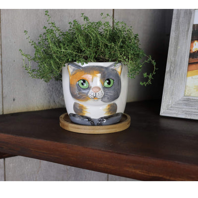 Window Garden Animal Planters - Large Kitty Pot (Tigger) Purrfect for Indoor Live House