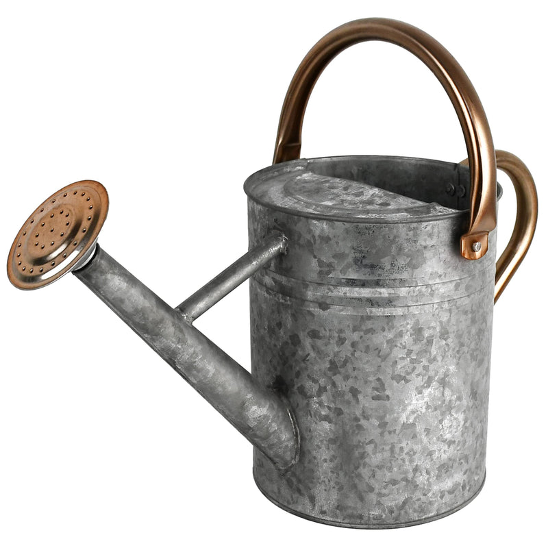 Watering Can - Metal Watering Can With Removable Spout, Perfect Plant Watering Can