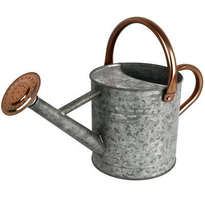 Watering Can - Metal Watering Can With Removable Spout, Perfect Plant Watering Can