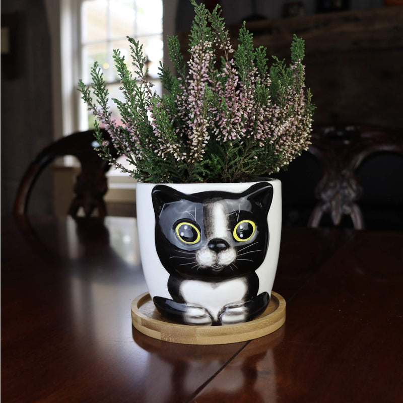 Window Garden Cat Planter - Large Kitty Pot for Indoor House Plants, Succulents, Flowers