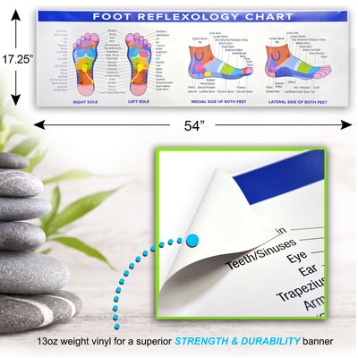 Foot Reflexology Poster Vinyl Banner | 54 x 17.25 Reflexology Chart Color