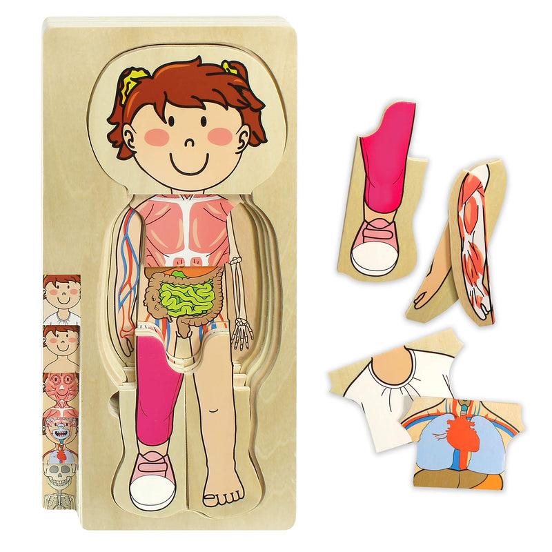 Kidzlane Wooden My Body Puzzle for Toddlers & Kids - 29 Piece Girls Anatomy Play Set Ages