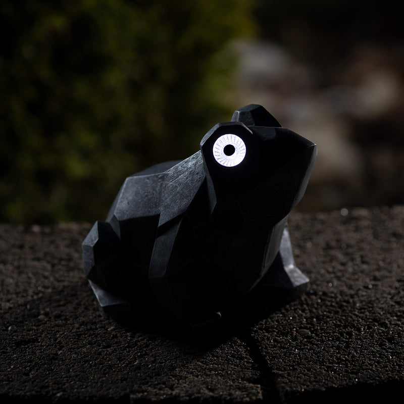 VP Home Geo Hip Hop Frog Solar Powered LED Outdoor Decor Garden