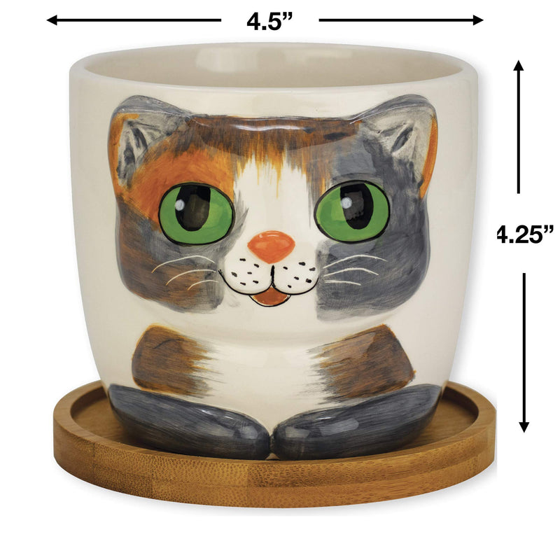 Window Garden Animal Planters - Large Kitty Pot (Barney) Purrfect for Indoor Live House