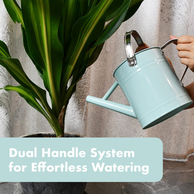 Watering Can - Metal Watering Can With Removable Spout, Perfect Plant Watering Can