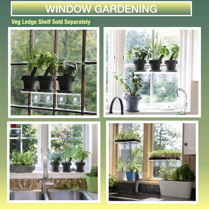 Window Garden Herb Growing Kit - Grow an Indoor Garden, Herb Kitchen Windowsill - Non GMO