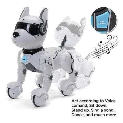 Remote Control Robot Dog Toy, Robots for Kids, Rc Dog Robot Toys for Kids 3,4,5,6,7,8,9,10