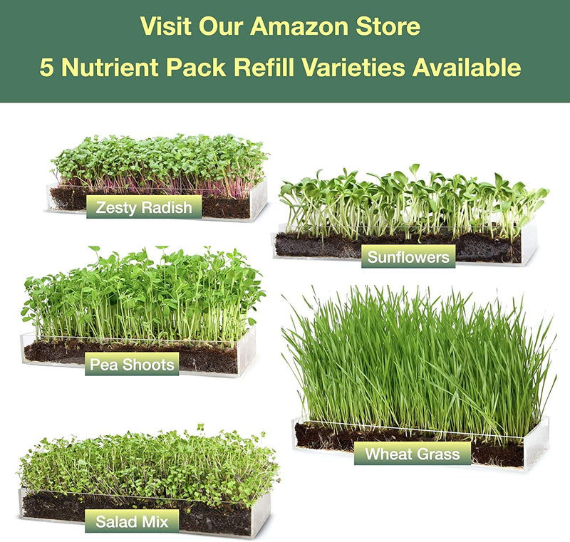 Window Garden Microgreens Grow Kit - Includes Microgreen Seeds (3 Crops), Fiber Soil