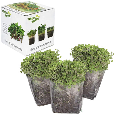 Window Garden Microgreens Grow Kit - Assorted Microgreen Seeds, Indoor Starter Growing Kit