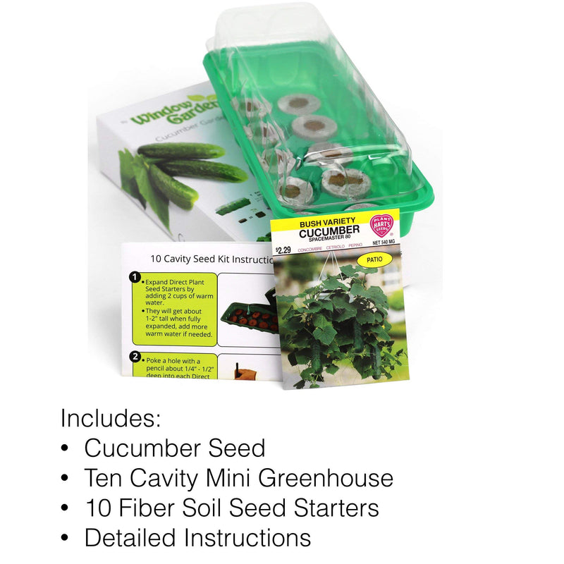 Window Garden - Cucumber Vegetable Starter Kit - Grow Your Own Food. Germinate Seeds